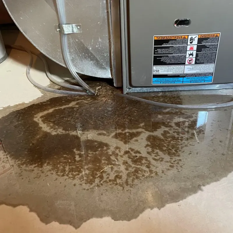 Pipe Burst and Leak Restoration in Blackford County, IN