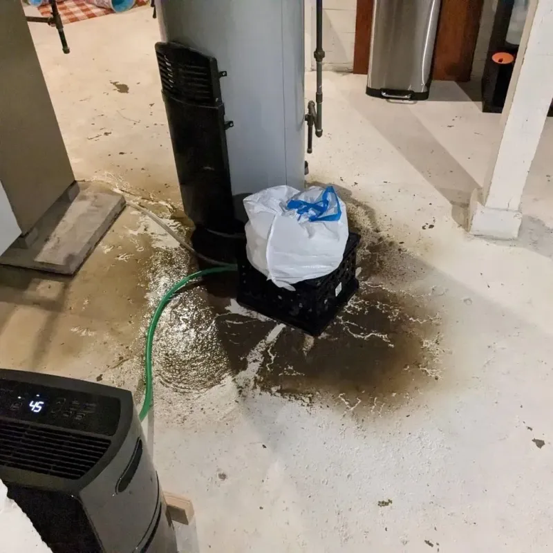 Sewage Backup Cleanup Service in Blackford County, IN